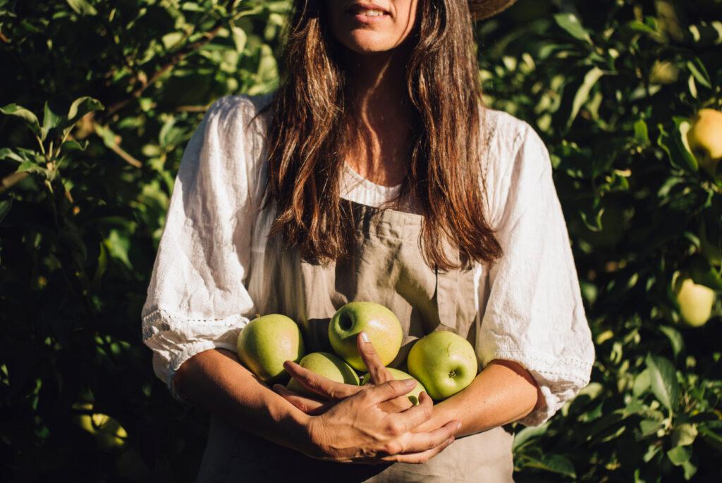 woman standing in an apple orchard with an arm full of apples after picking them