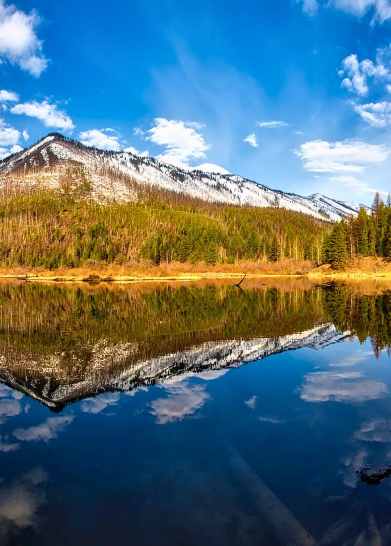 Whitefish, MT callout