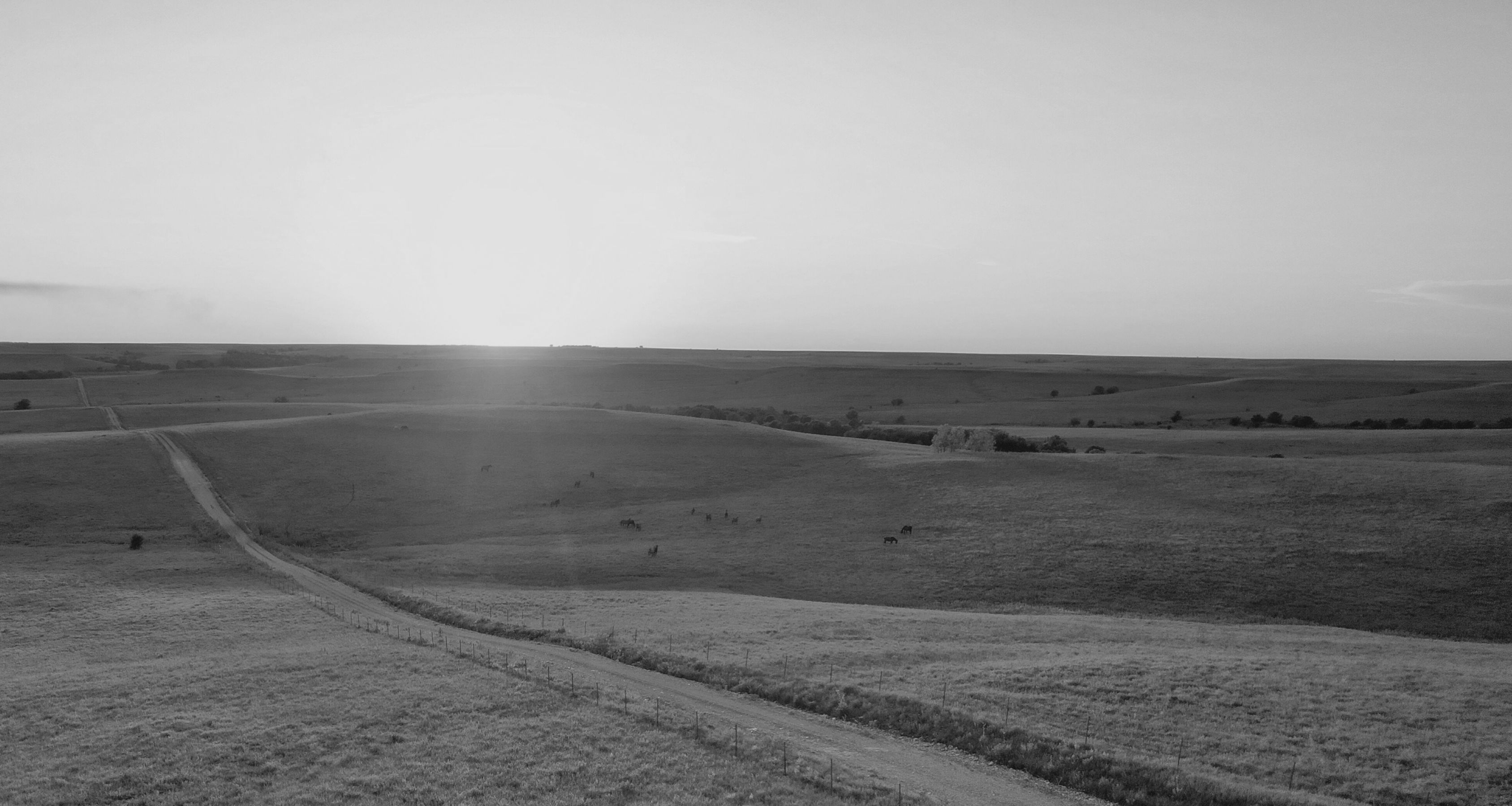 Rolling Prairie Indiana Rentals | Juniper Holiday + Home
