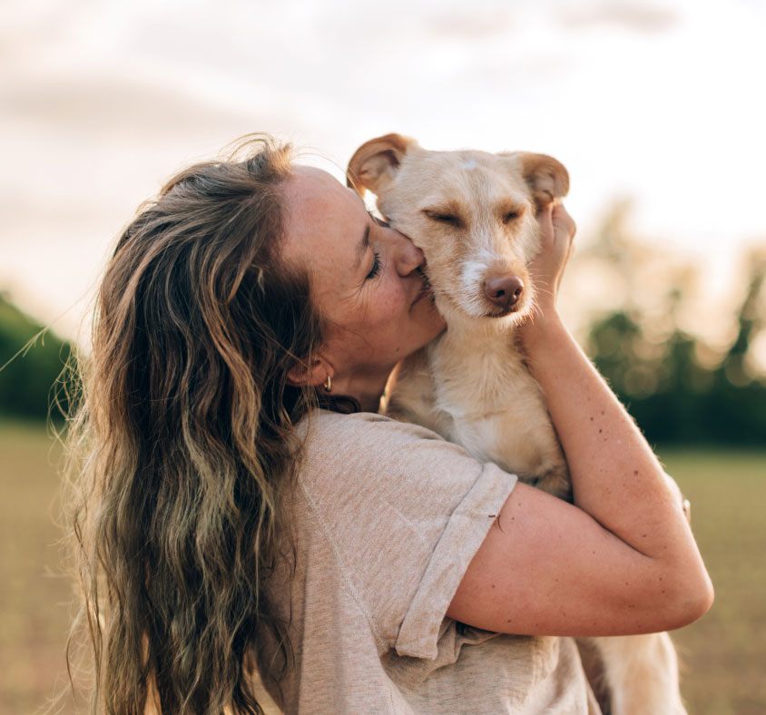 Popular Search Pet Friendly