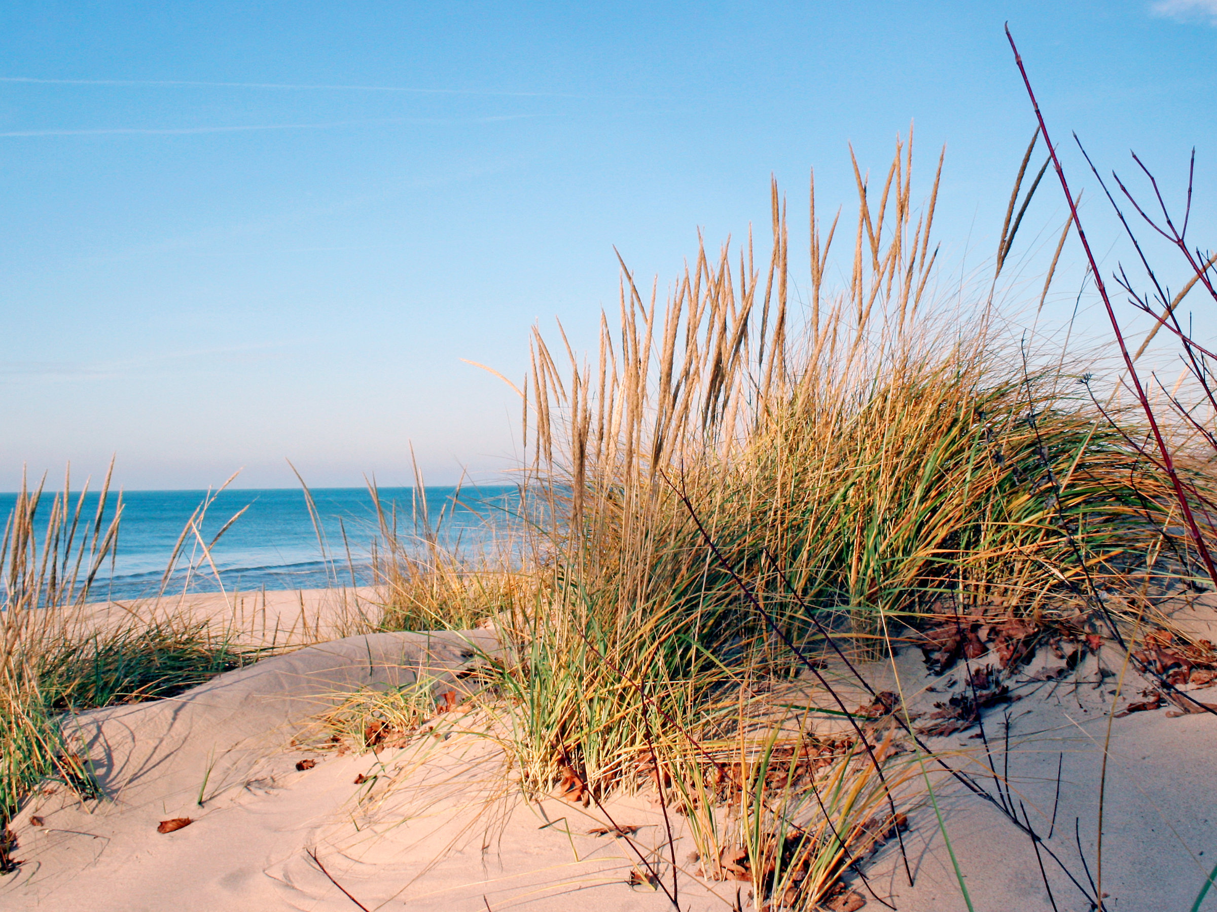 Thing To Do Union Pier