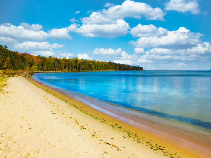 Thing To Do ATTRACTIONS