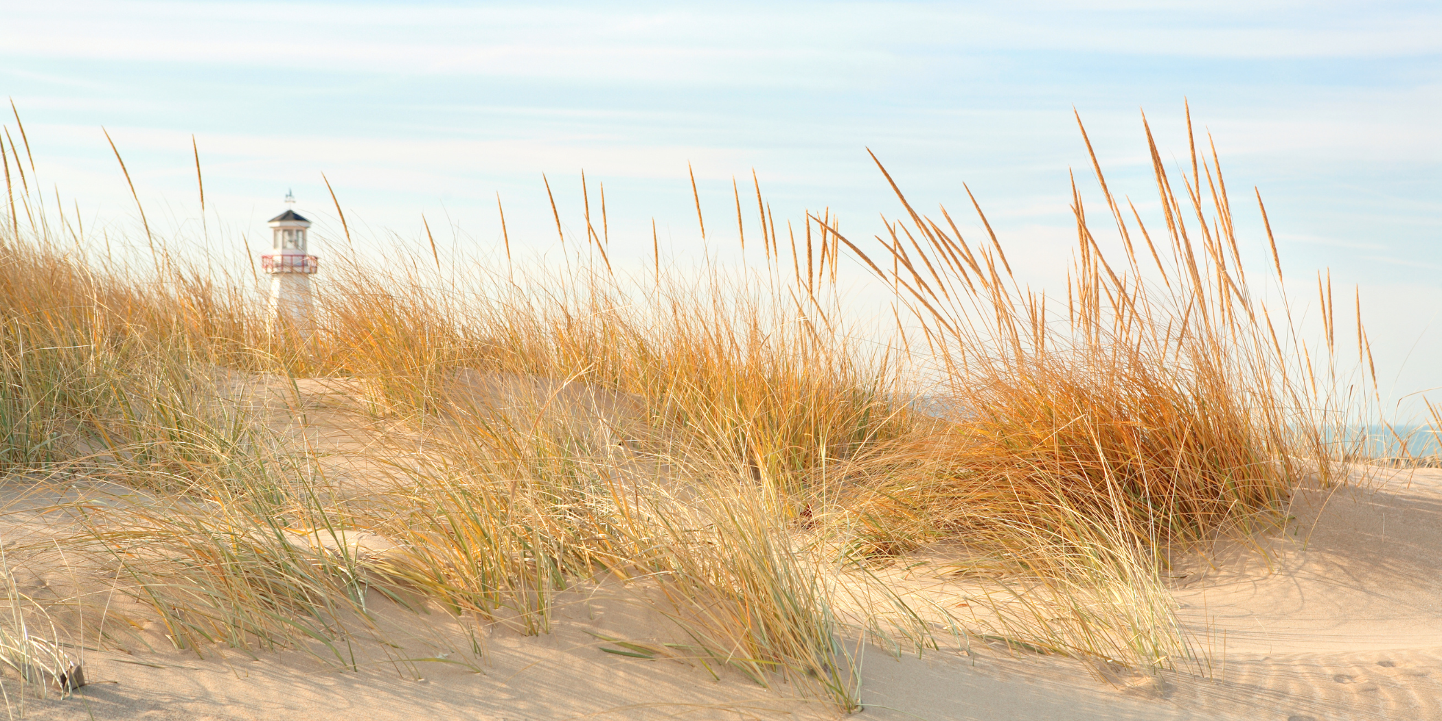 Thing To Do Michiana