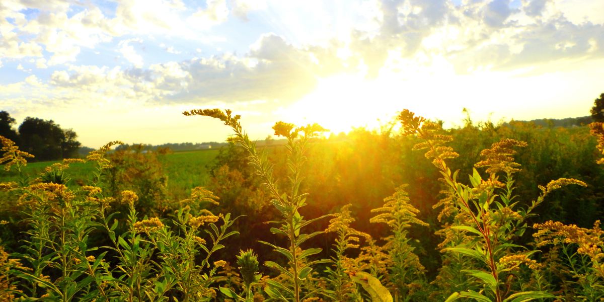 Thing To Do Rolling Prairie