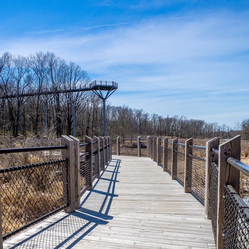 Attractions in Union Pier Michigan| Juniper Holiday + Home