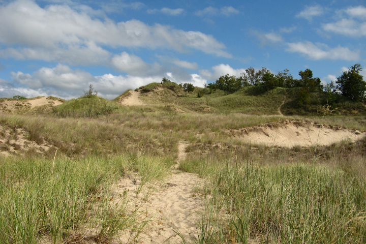 Dunes at Warren Dunes State Park