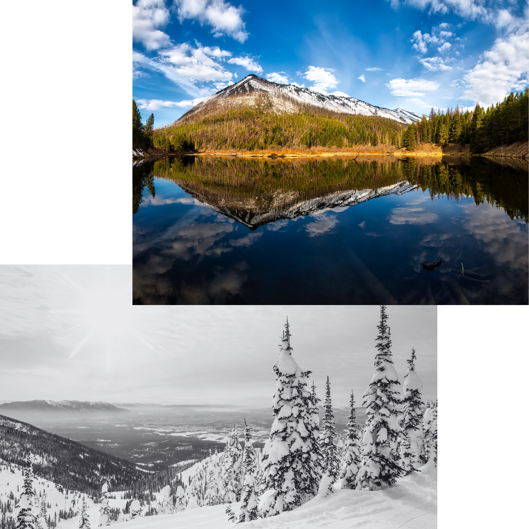 Collage of Images from Whitefish