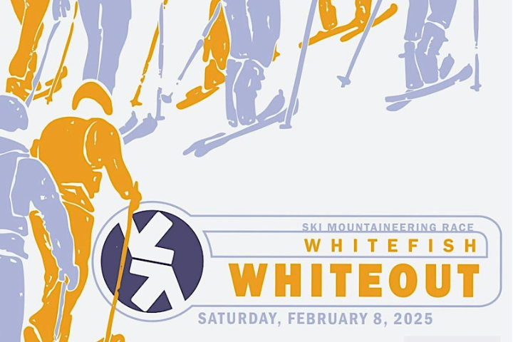 Winter Whiteout Logo